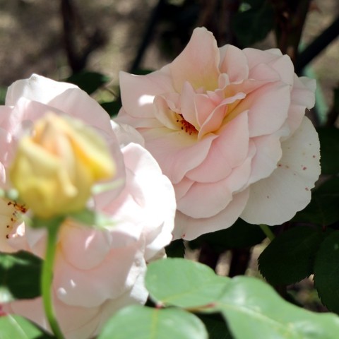 20200513_03.jpg